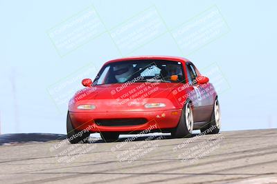 media/Dec-15-2024-OnGrid (Sun) [[646122a254]]/Blue/Session 2 (Grapevine)/